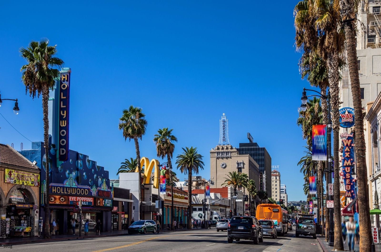 SEO Services Hollywood